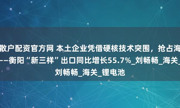 散户配资官方网 本土企业凭借硬核技术突围，抢占海外市场——衡阳“新三样”出口同比增长55.7%_刘畅畅_海关_锂电池